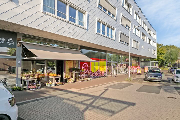 Foto 37 van De Spinne 77