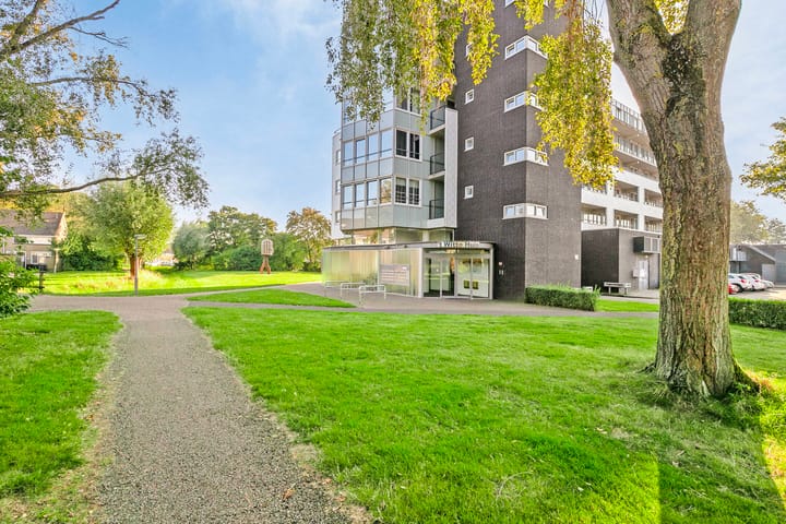 Foto 38 van De Spinne 77