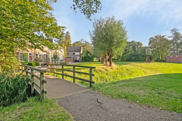 Foto 39 van De Spinne 77