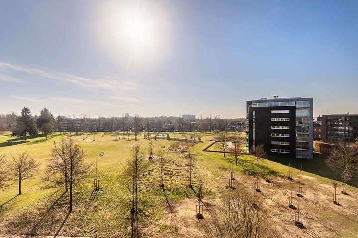 Foto 17 van Wachterslaan 117