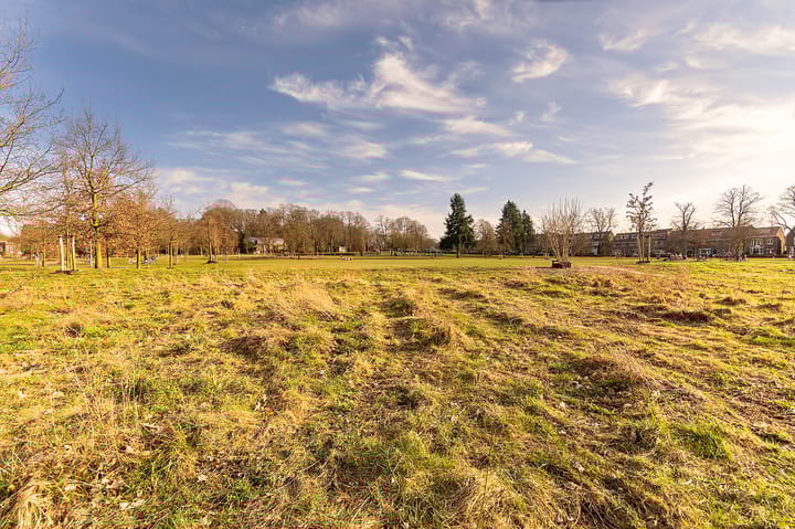 Foto 49 van Wachterslaan 117