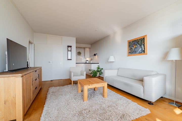 Photo 8 of Tobias Asserlaan 159