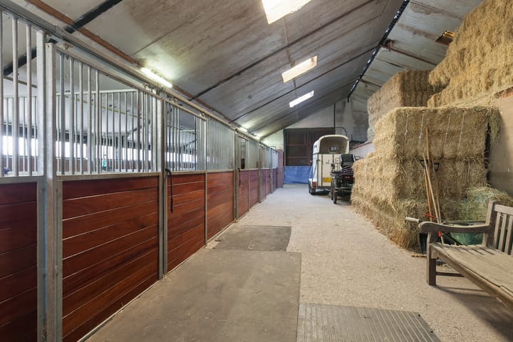 Photo 6 of De Koaten 37