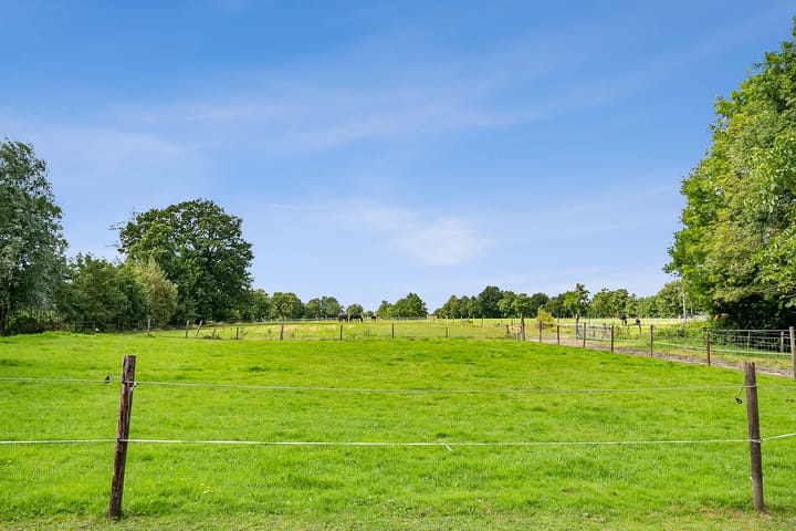 Photo 38 of De Koaten 37