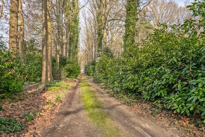 Foto 36 van Bovenheigraaf 7