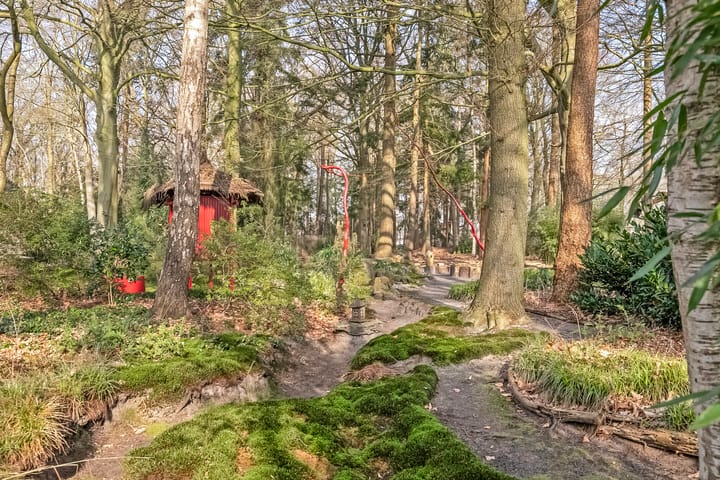 Foto 37 van Bovenheigraaf 7