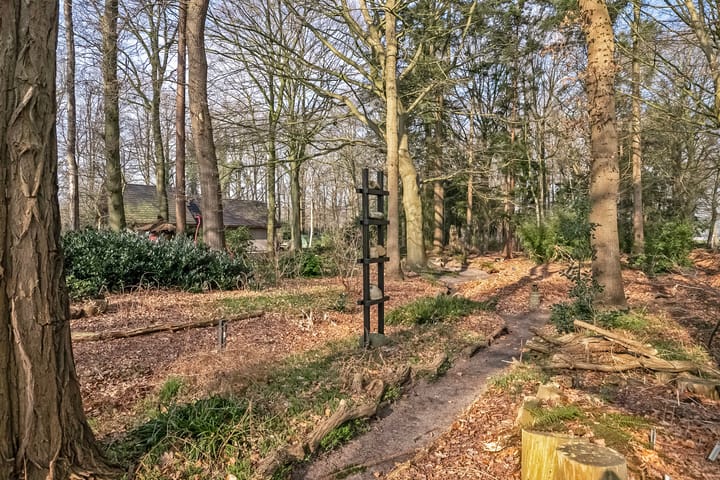 Foto 38 van Bovenheigraaf 7