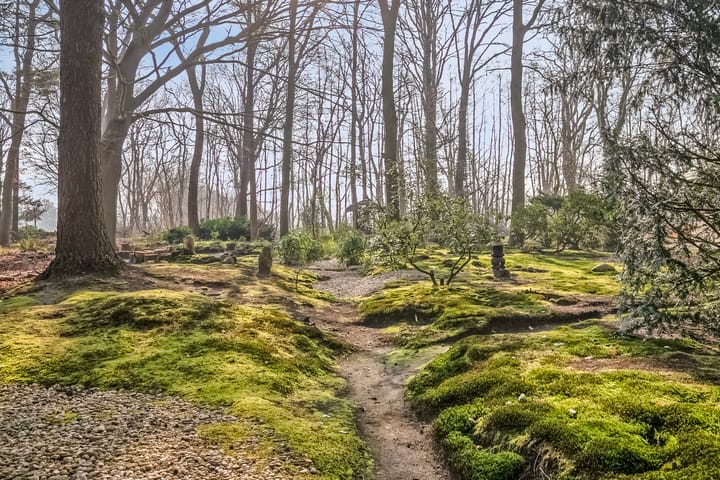 Foto 41 van Bovenheigraaf 7