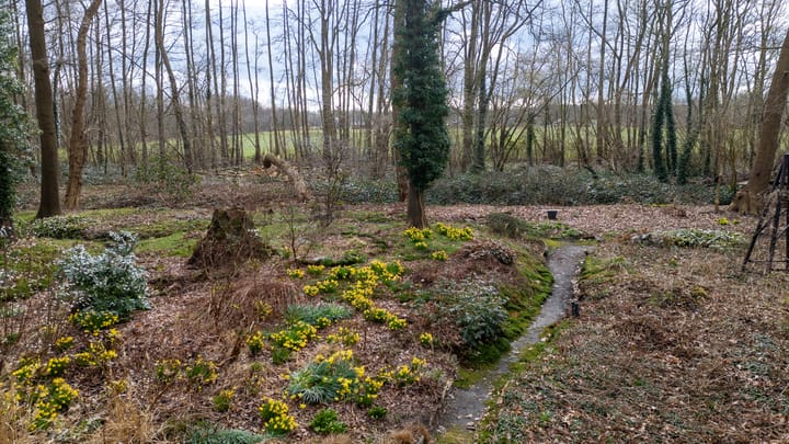 Foto 57 van Bovenheigraaf 7