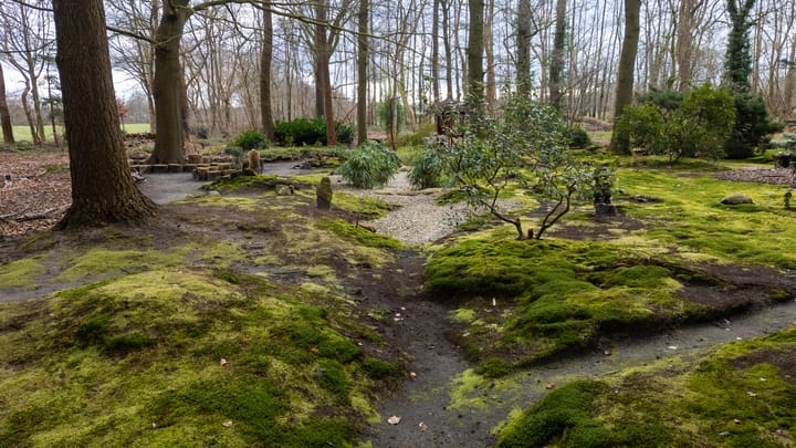 Foto 59 van Bovenheigraaf 7