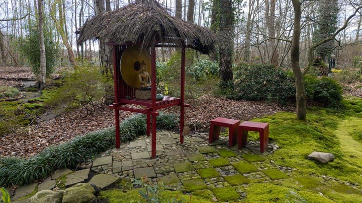 Foto 60 van Bovenheigraaf 7