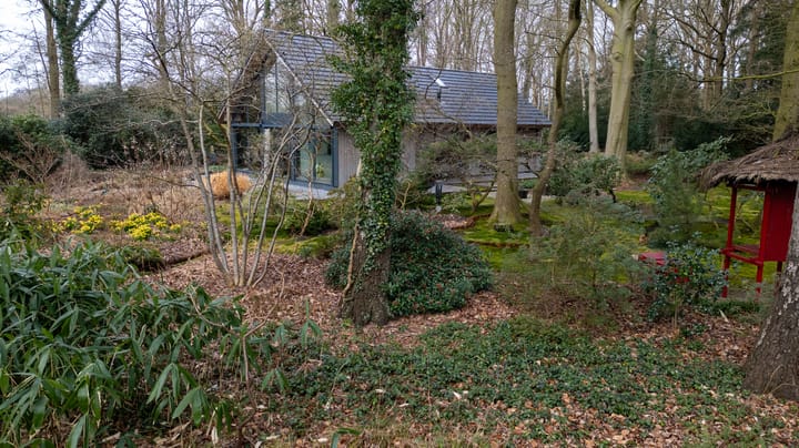 Foto 61 van Bovenheigraaf 7