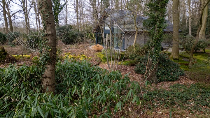 Foto 62 van Bovenheigraaf 7