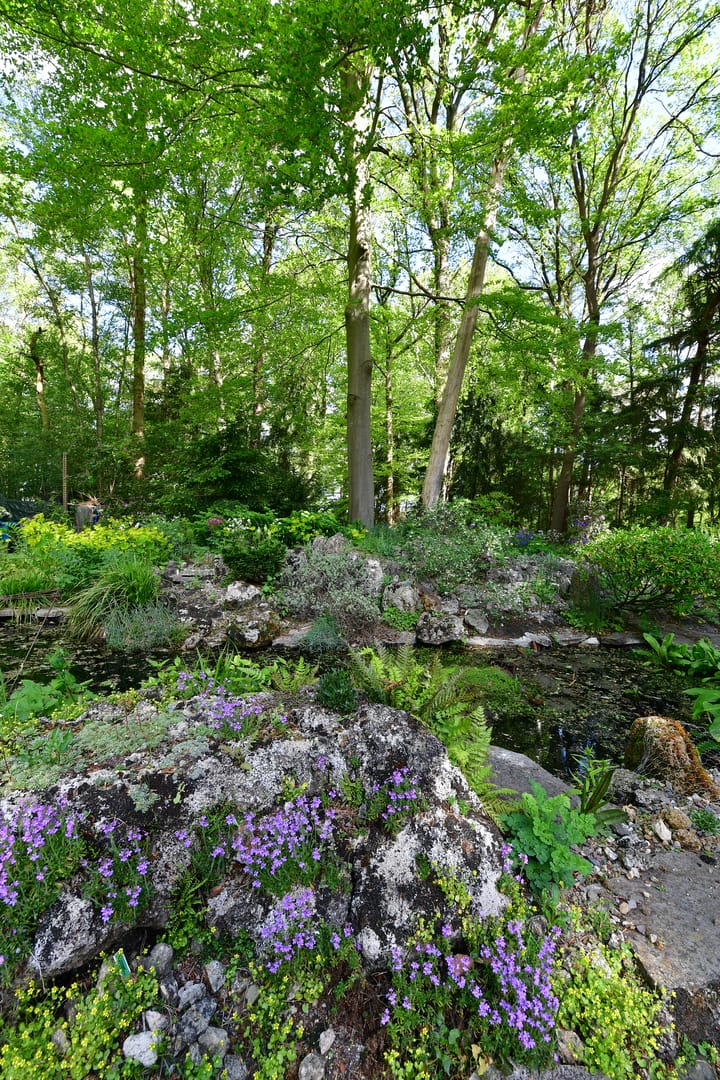 Foto 63 van Bovenheigraaf 7