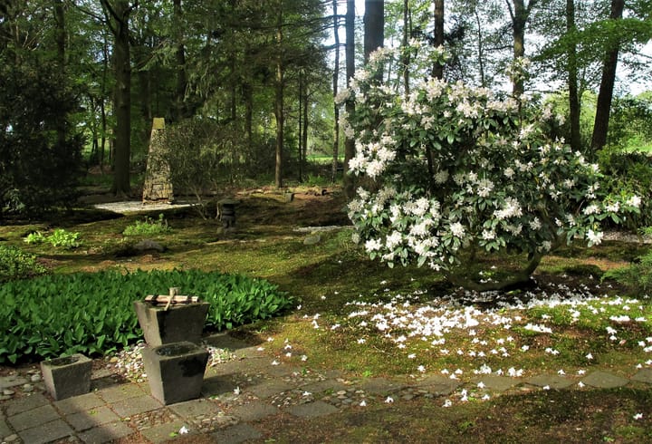 Foto 68 van Bovenheigraaf 7