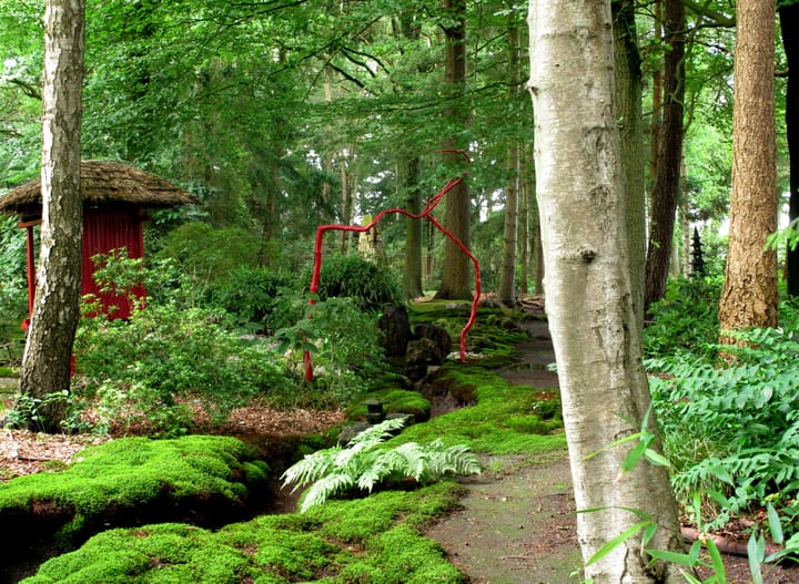 Foto 69 van Bovenheigraaf 7