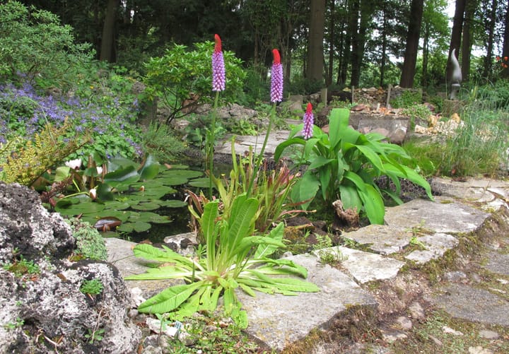 Foto 70 van Bovenheigraaf 7