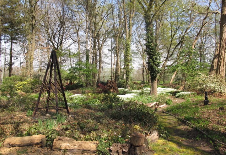 Foto 73 van Bovenheigraaf 7