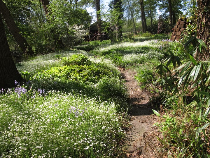 Foto 74 van Bovenheigraaf 7