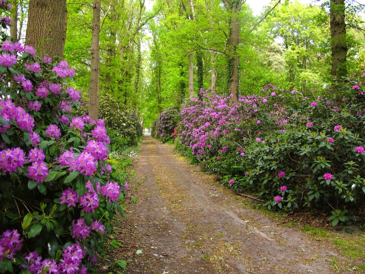 Foto 77 van Bovenheigraaf 7