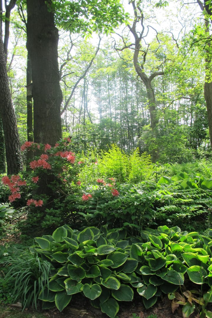 Foto 75 van Bovenheigraaf 7