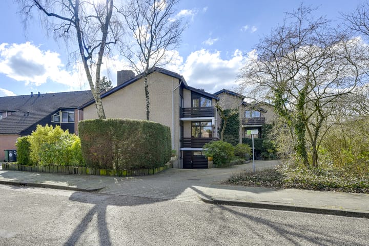 Foto 1 van Speenkruid 1