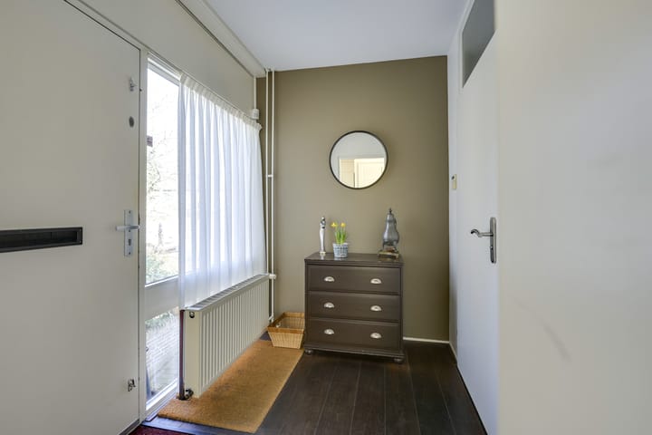 Foto 6 van Speenkruid 1