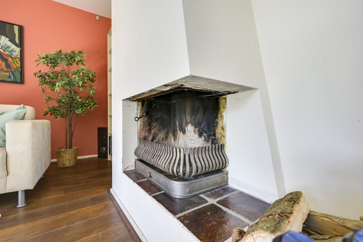 Foto 20 van Speenkruid 1