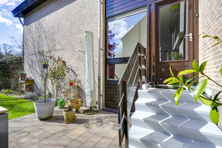 Foto 28 van Speenkruid 1