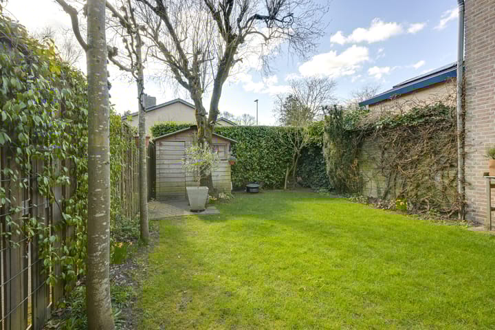 Foto 31 van Speenkruid 1