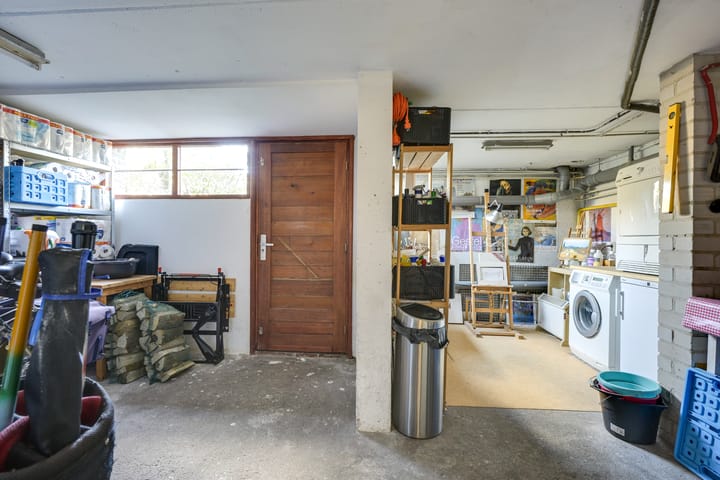 Foto 38 van Speenkruid 1