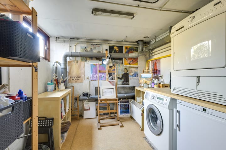 Foto 39 van Speenkruid 1