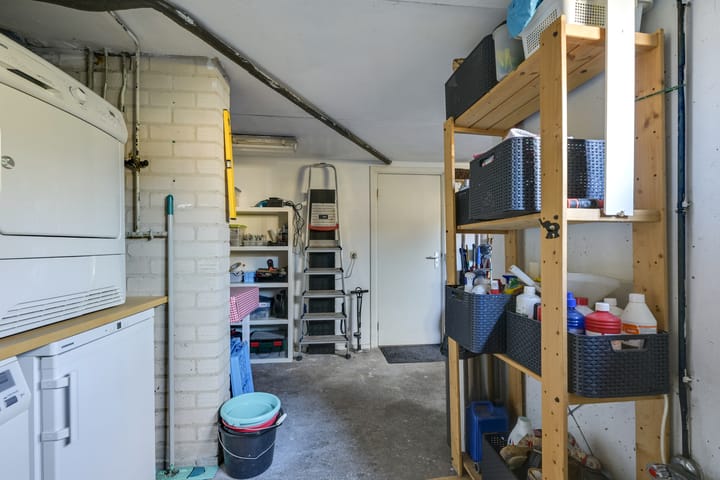 Foto 42 van Speenkruid 1