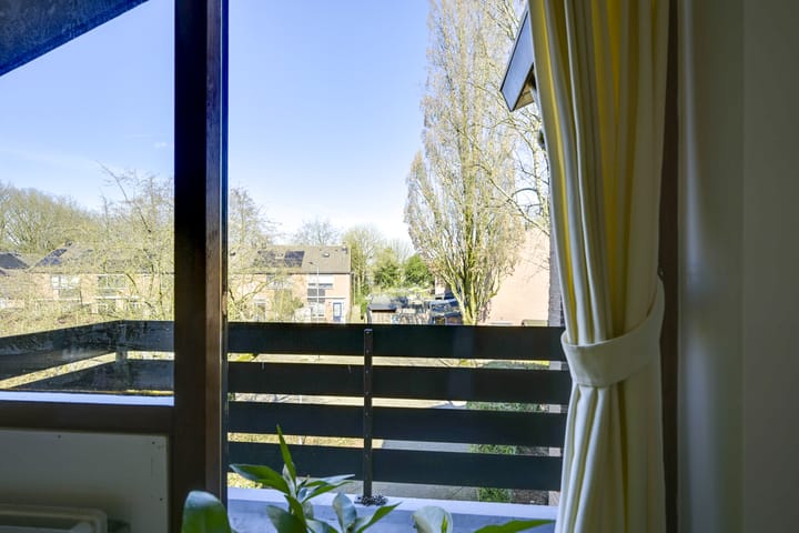 Foto 56 van Speenkruid 1