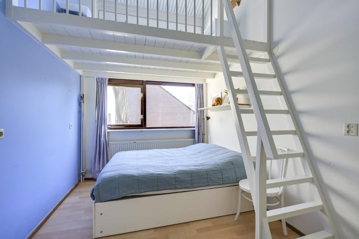 Foto 58 van Speenkruid 1