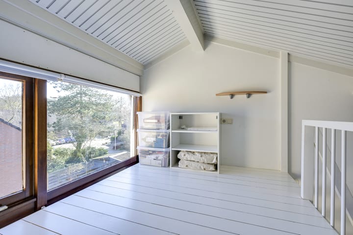 Foto 61 van Speenkruid 1