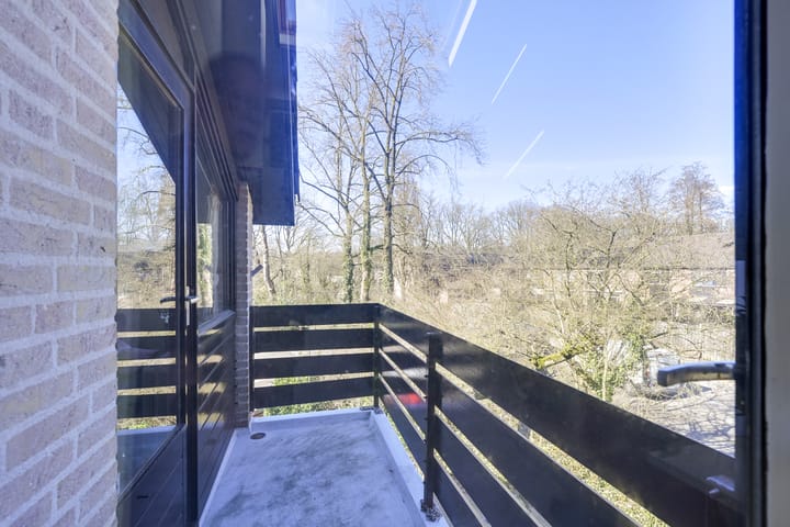 Foto 63 van Speenkruid 1