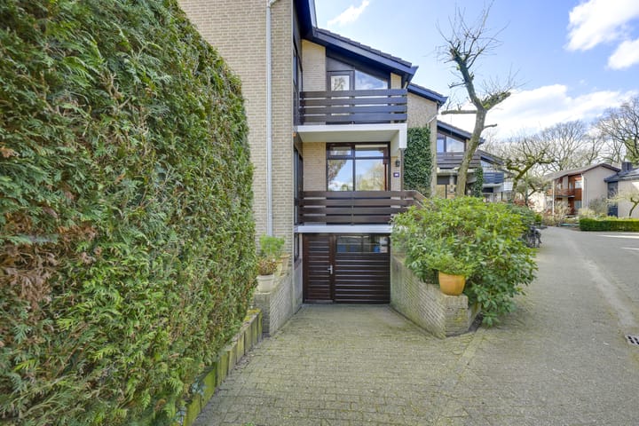 Foto 69 van Speenkruid 1