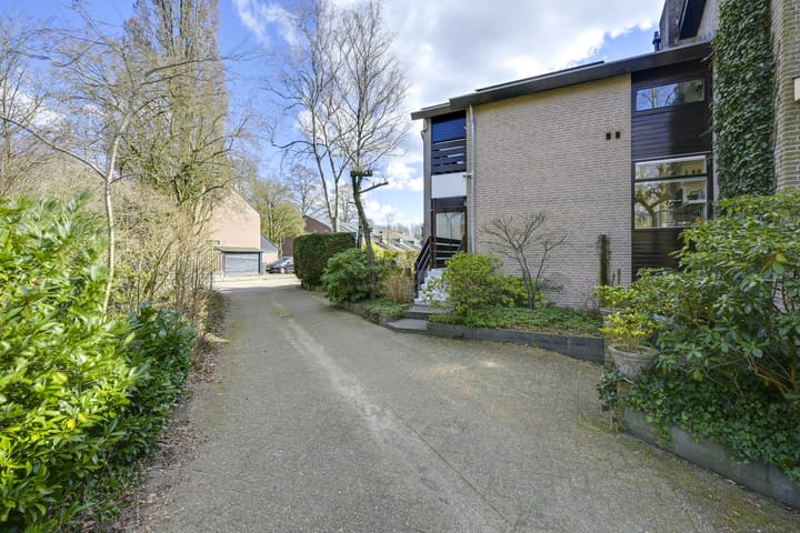 Foto 70 van Speenkruid 1