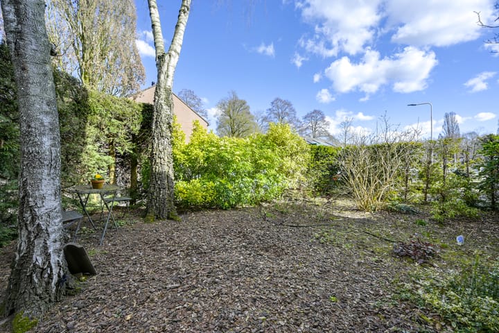 Foto 73 van Speenkruid 1