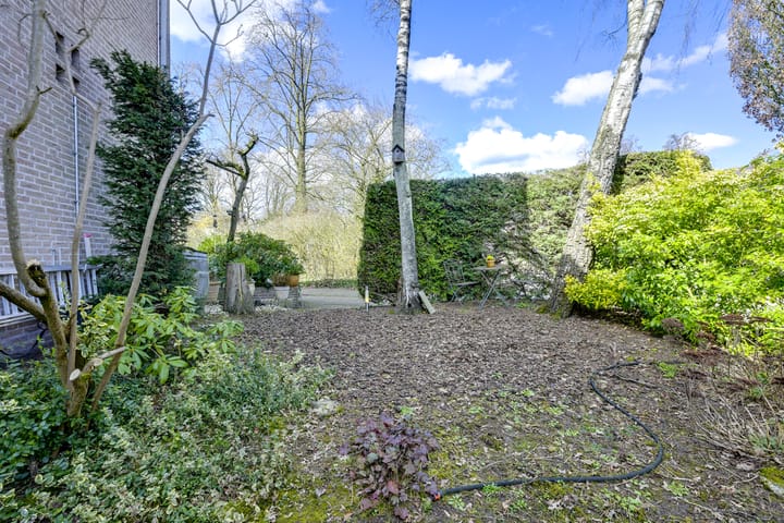 Foto 74 van Speenkruid 1