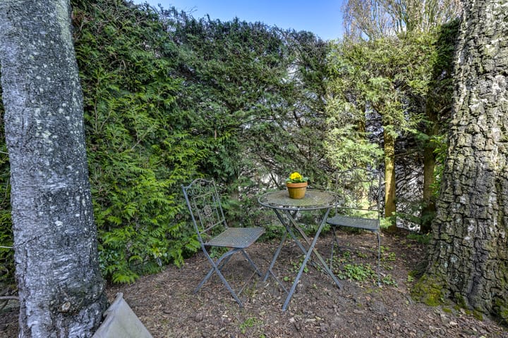 Foto 75 van Speenkruid 1