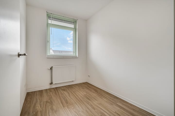 Foto 14 van Leeuw 14