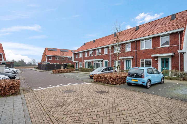 Foto 29 van Leeuw 14