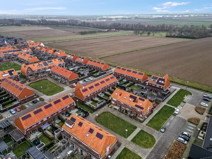 Foto 31 van Leeuw 14