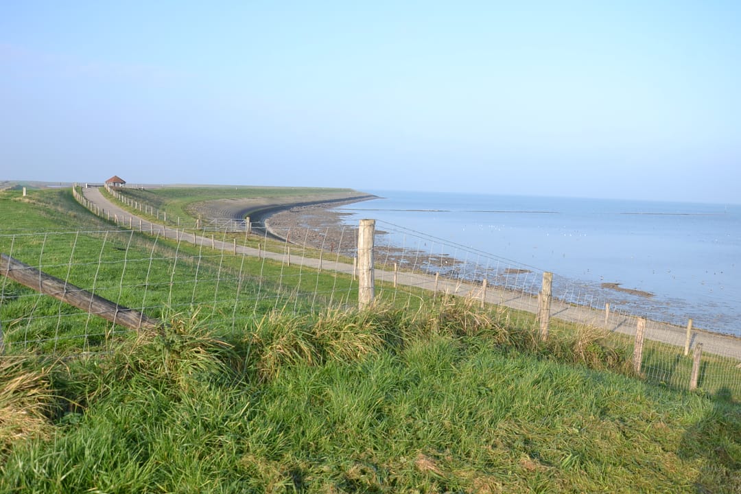 Foto 17 van Kruisstraat 12