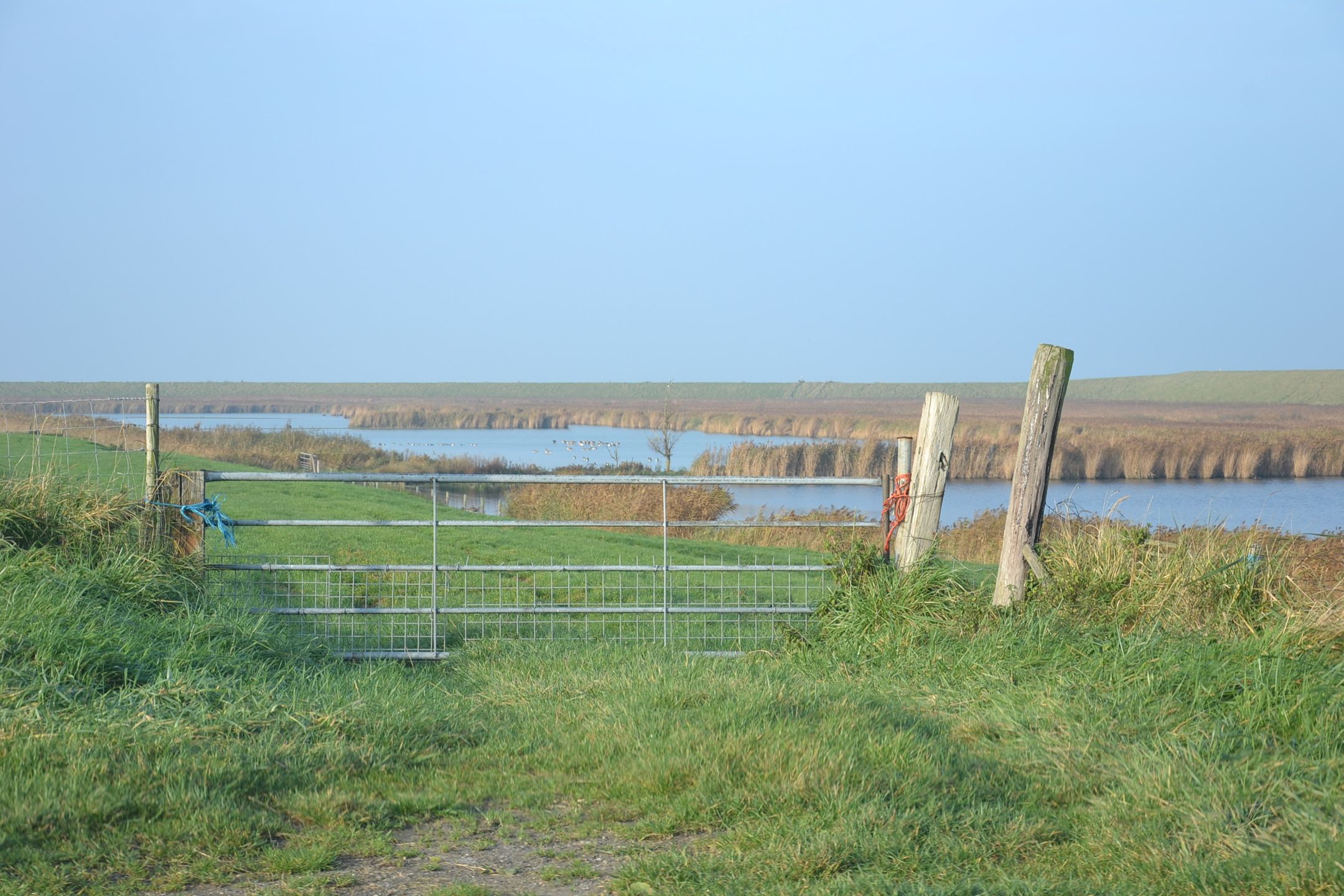 Foto 18 van Kruisstraat 12