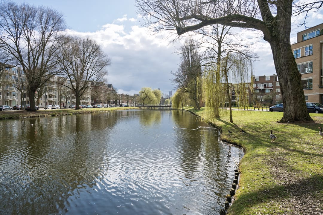 Foto 28 van Schapendreef 399