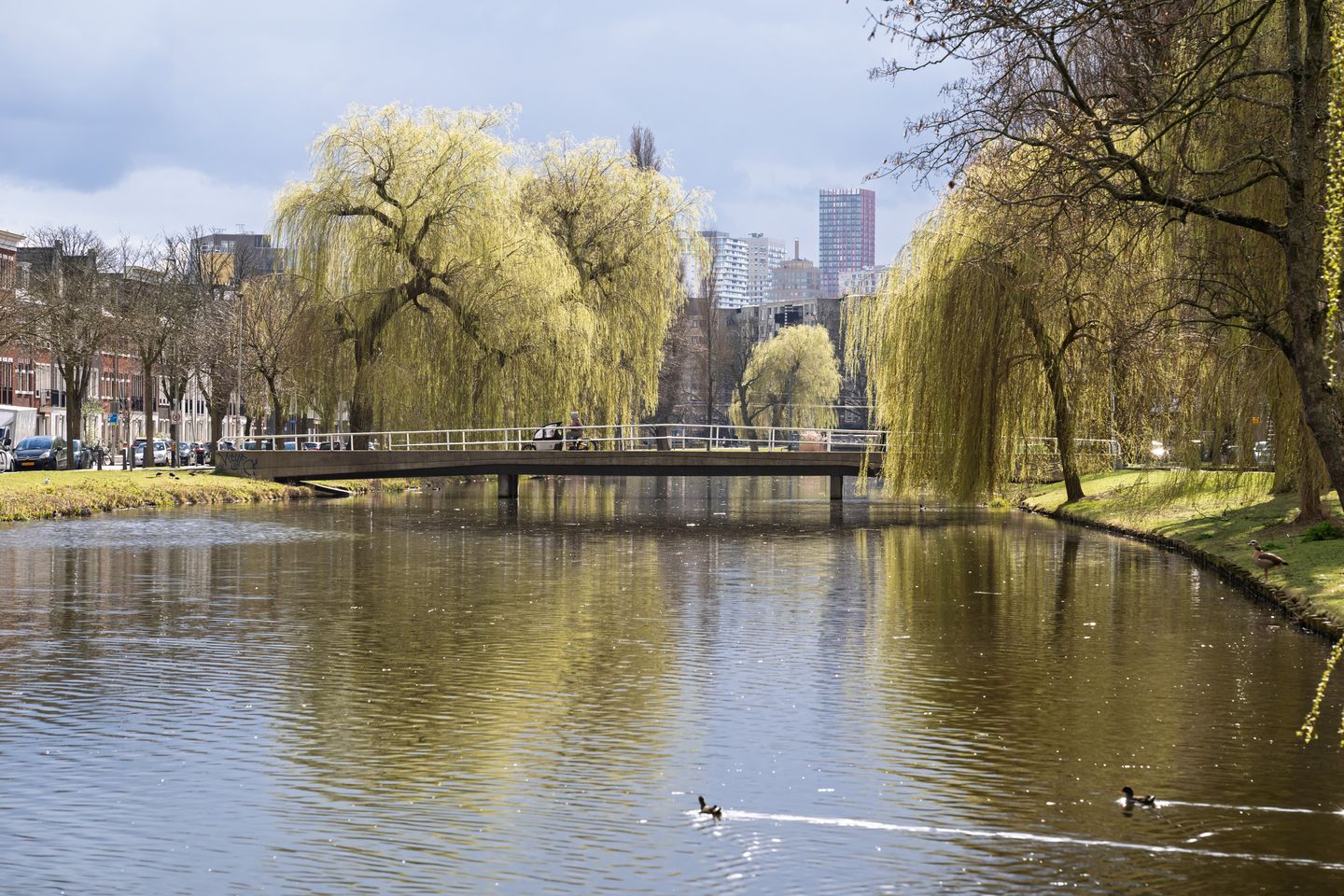 Foto 29 van Schapendreef 399