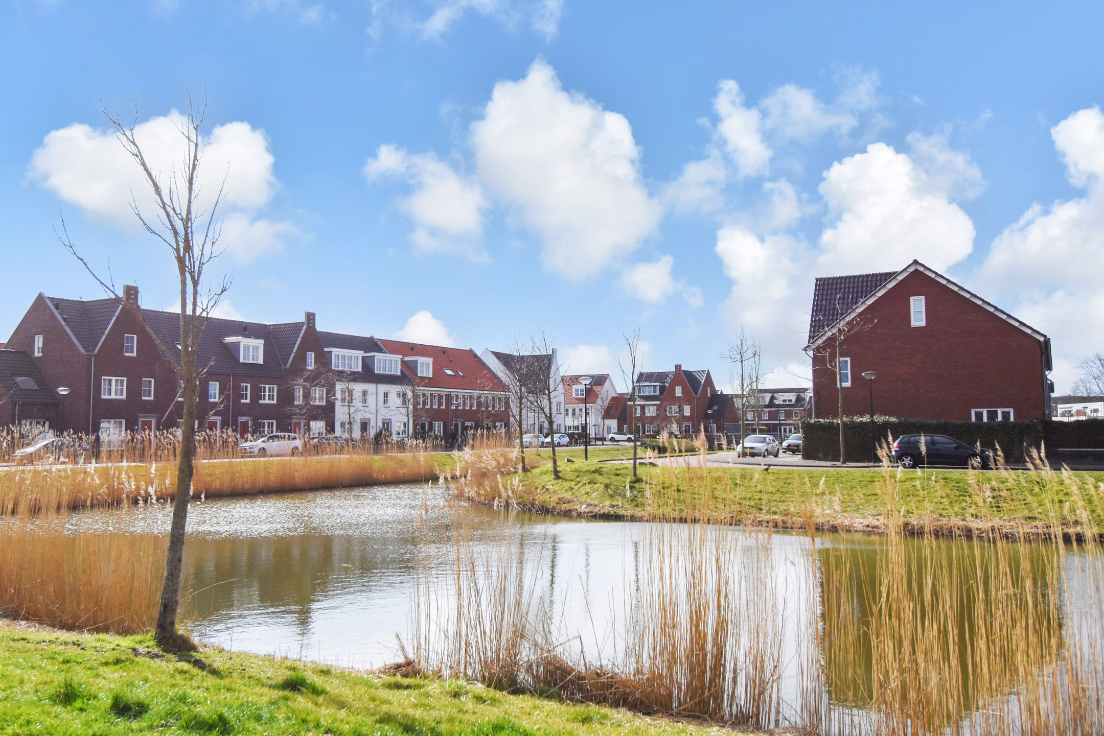 Foto 51 van Betuwestraat 36